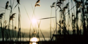 Beitragsbild des Blogbeitrags Ende meiner Karenz – Was ich in 1 1/2 Jahren gelernt habe