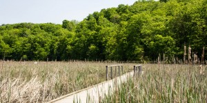 Beitragsbild des Blogbeitrags Tagesausflug ab New York City: das Hudson Valley