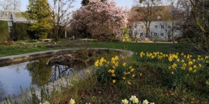 Beitragsbild des Blogbeitrags Botanischer Garten: Grüne Oase in Linz 