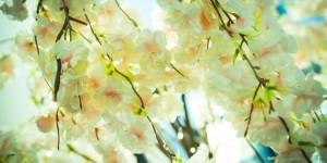Beitragsbild des Blogbeitrags Kreativ shoppen – mit Herzblut! 