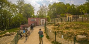Beitragsbild des Blogbeitrags Tierpark Linz: Keine Kängurus in Österreich? Von wegen!