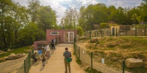 Beitragsbild des Blogbeitrags Tierpark Linz: Keine Kängurus in Österreich? Von wegen! 