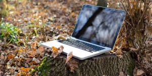 Beitragsbild des Blogbeitrags CO2-Ausstoß pro Klick | energiesparendes Webdesign