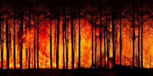 Beitragsbild des Blogbeitrags CO2-Ausstoß gefährdet Klimaziele