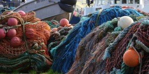 Beitragsbild des Blogbeitrags Überfischung der Meere – Fakten und Folgen 