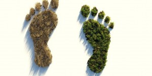 Beitragsbild des Blogbeitrags Tipps gegen den Klimawandel: Was kannst du tun?