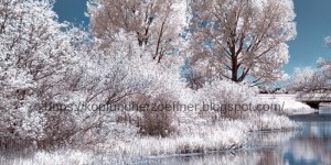 Beitragsbild des Blogbeitrags Crash und das Jahr 2019 ist da ...
