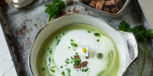 Beitragsbild des Blogbeitrags Cremige Kräutersuppe mit Croutons