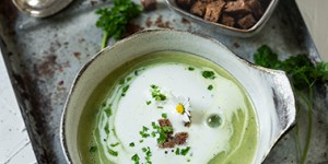 Beitragsbild des Blogbeitrags Cremige Kräutersuppe mit Croutons 