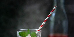 Beitragsbild des Blogbeitrags Erdbeer Shrub – der ideale Durstlöscher
