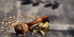 Beitragsbild des Blogbeitrags Ayurveda Gewürz Favoriten