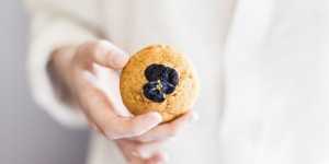 Beitragsbild des Blogbeitrags Webinar Grundlagen moderner Ayurveda Ernährung