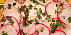 Beitragsbild des Blogbeitrags Zucchinipuffer mit Frischkäse und Radieschen