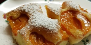 Beitragsbild des Blogbeitrags Burgenländischer Marillenkuchen 