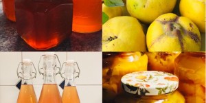 Beitragsbild des Blogbeitrags Alles Quitte