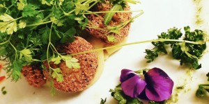 Beitragsbild des Blogbeitrags Linsenbällchen auf Kartoffelpüree mit Kräutern, Ajvar und Gremolata