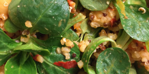Beitragsbild des Blogbeitrags Quinoa-Kichererbsen-Salat