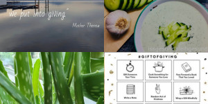 Beitragsbild des Blogbeitrags 12 Monatsvorhaben 2021 #7