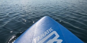 Beitragsbild des Blogbeitrags Auf zur Kaktus Insel vor Premantura, Istrien
