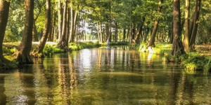 Beitragsbild des Blogbeitrags Raddusch im Spreewald – Kontrast zu Badesee und Meer 