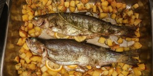 Beitragsbild des Blogbeitrags Trota al Forno con Patate (Forelle)