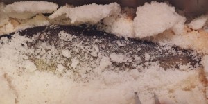Beitragsbild des Blogbeitrags Forelle in der Salzkruste 