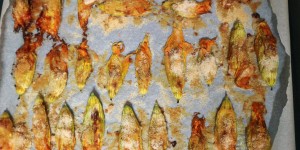 Beitragsbild des Blogbeitrags Fiori di Zucca Ripieni (Gefüllte Zucchiniblüten)