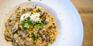 Beitragsbild des Blogbeitrags Risotto con Funghi e Scamorza