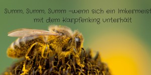 Beitragsbild des Blogbeitrags Summ, summ, summ – wenn sich ein Imkermeister mit dem Karpfenking unterhält 