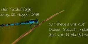 Beitragsbild des Blogbeitrags Premiere & Einladung zum Tag der Teichanlage 