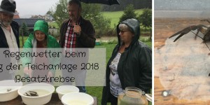 Beitragsbild des Blogbeitrags Regenwetter beim Tag der Teichanlage 2018 – Besatzkrebse 