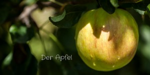 Beitragsbild des Blogbeitrags Der Apfel mehr als nur irgendein Obst 