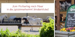 Beitragsbild des Blogbeitrags Zum Muttertag nach Piber in die Lipizzanerheimat 