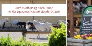 Beitragsbild des Blogbeitrags Zum Muttertag nach Piber in die Lipizzanerheimat