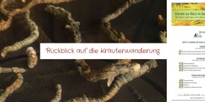 Beitragsbild des Blogbeitrags Rückblick auf die Kräuterwanderung