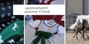 Beitragsbild des Blogbeitrags Lipizzanerheimat – Lipizzaner & Dirndl