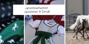 Beitragsbild des Blogbeitrags Lipizzanerheimat – Lipizzaner & Dirndl 