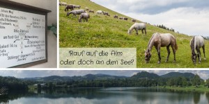 Beitragsbild des Blogbeitrags Rauf auf die Alm oder doch an den See?