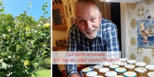 Beitragsbild des Blogbeitrags Quittenmarmelade mit Ingwer oder Krenn (Rezept) 