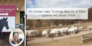 Beitragsbild des Blogbeitrags Ein Winter oder Frühlings Besuch in Piber – Update