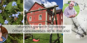 Beitragsbild des Blogbeitrags NATUR im GARTEN – Naturschaugarten 