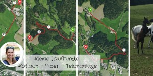 Beitragsbild des Blogbeitrags Kleine Laufrunde Köflach – Piber – Teichanlage 