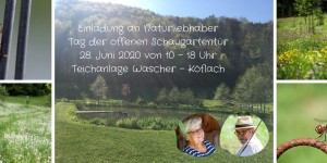 Beitragsbild des Blogbeitrags Einladung an Naturliebhaber, Freunde, Köflacher usw.