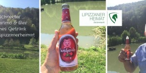 Beitragsbild des Blogbeitrags Sauschneider = Himbeerlimo & Bier = typisches Getränk aus der Lipizzanerheimat 