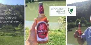 Beitragsbild des Blogbeitrags Sauschneider = Himbeerlimo & Bier = typisches Getränk aus der Lipizzanerheimat