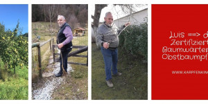 Beitragsbild des Blogbeitrags Luis – Zertifizierter Baumwärter und Obstbaumpfleger