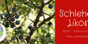 Beitragsbild des Blogbeitrags Schlehenlikör – Rezept