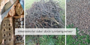 Beitragsbild des Blogbeitrags Insektenhotel oder doch Winterquartier!