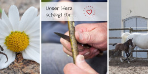 Beitragsbild des Blogbeitrags Unser Herz schlägt für …
