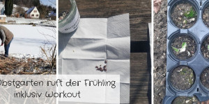 Beitragsbild des Blogbeitrags Im Obstgarten ruft der Frühling